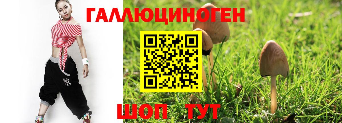 Псилоцибиновые грибы Cubensis Новоуральск