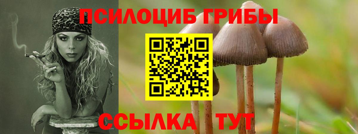 где купить   Псилоцибиновые грибы MAGIC MUSHROOMS  Вход с VPN  Новоуральск 
